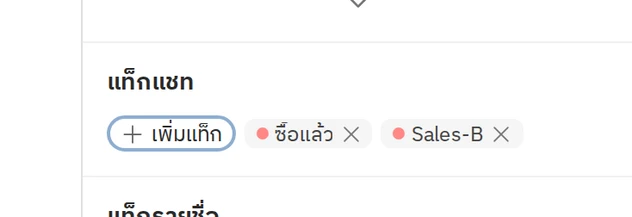 ข้อมูลลูกค้า ส่วนที่ 3 แท็กแชท